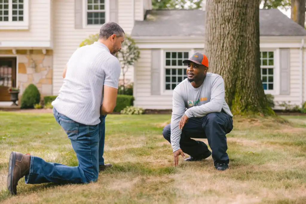 Lawn Squad lawn care