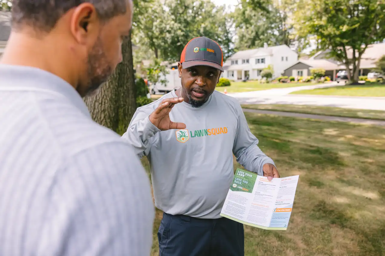 Lawn Squad lawn care