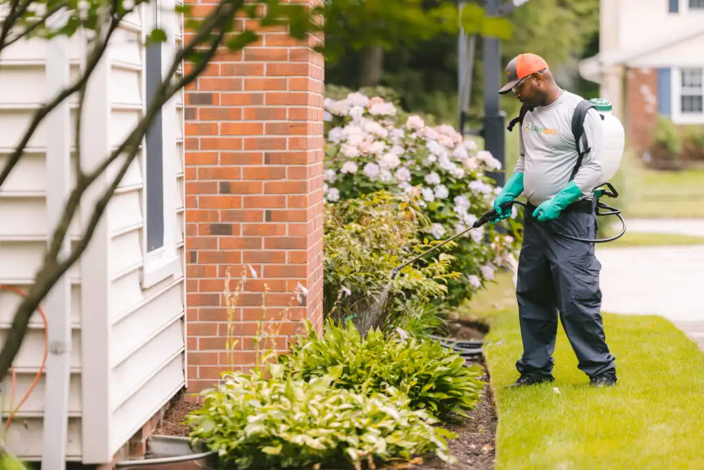 Lawn Squad lawn care
