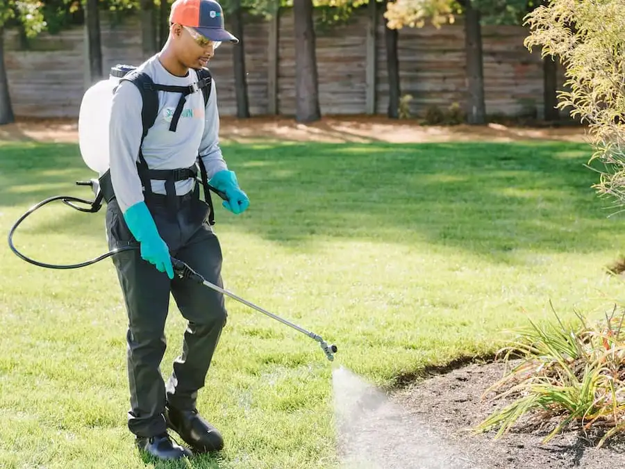 Lawn Squad lawn care
