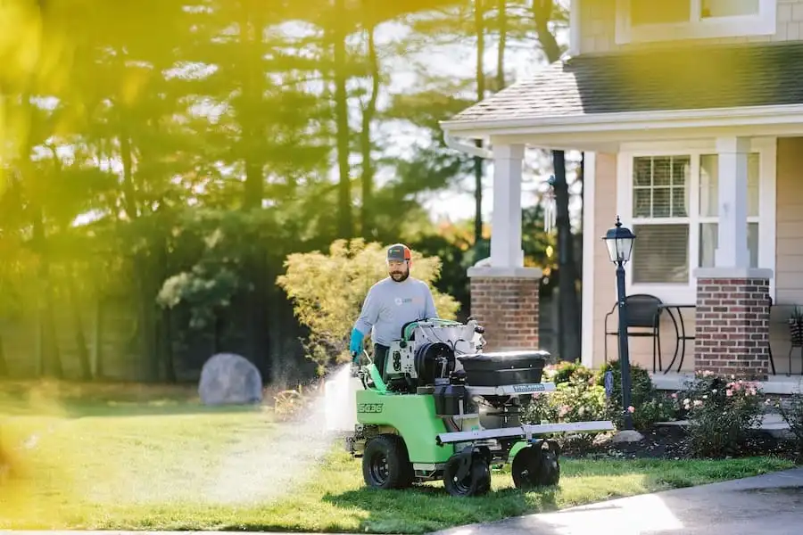 Lawn Squad lawn care